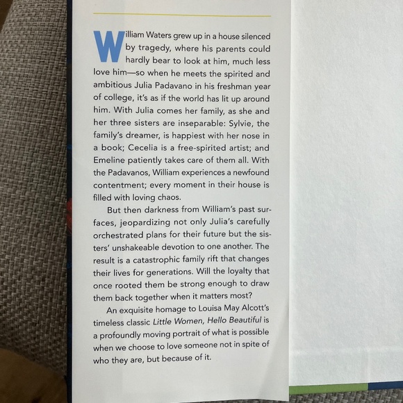 Hello Beautiful -  Ann Napolitano - New York Times Best Selling Book - Picture 2 of 3